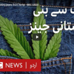 Making jeans from hemp - A Report by BBC URDU Selection3